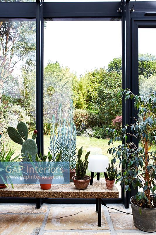 Wooden table with cacti in pots in modern conservatory 