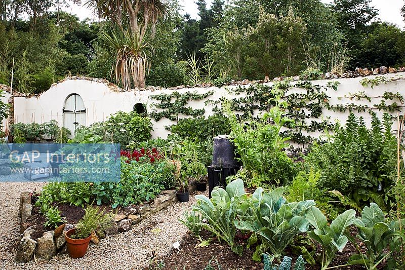 Walled vegetable garden 
