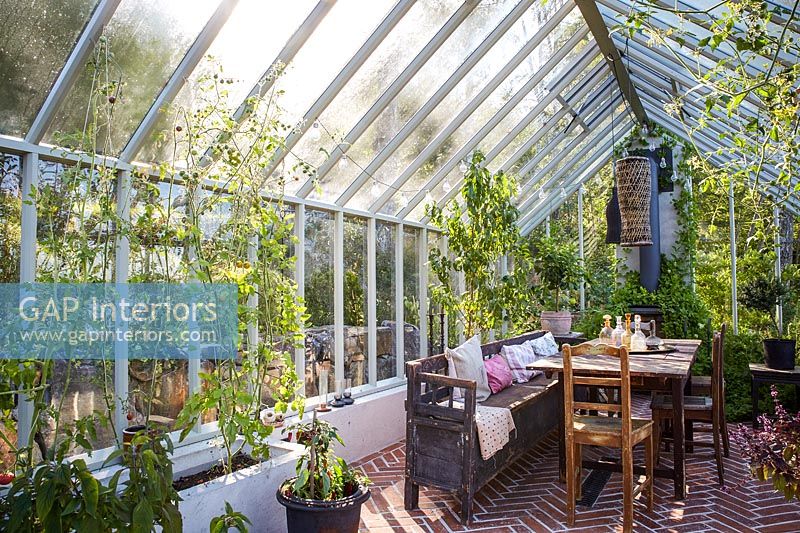 Inside greenhouse 