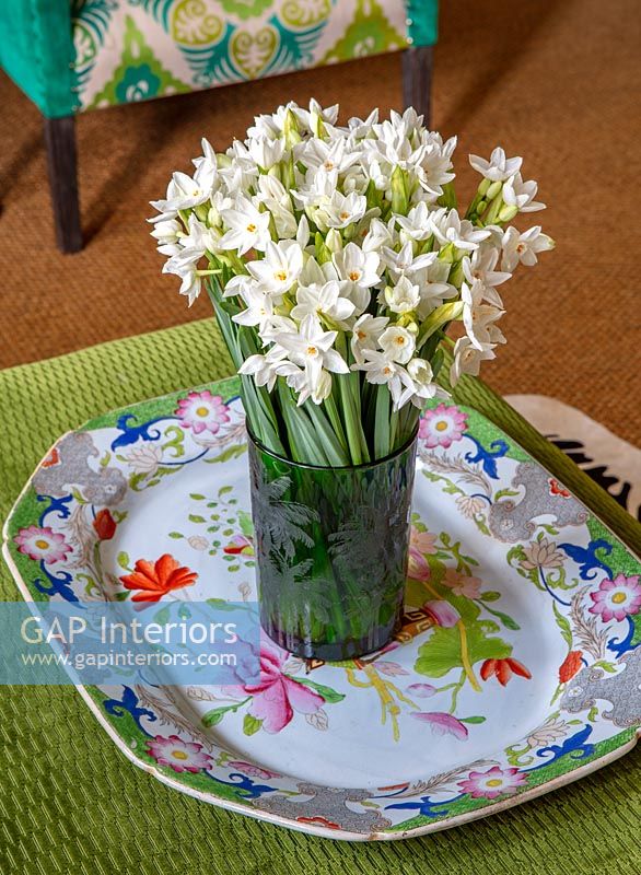 Close up paperwhite narcissus flowers P
