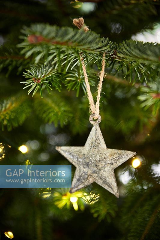 Close up Christmas decoration on tree 