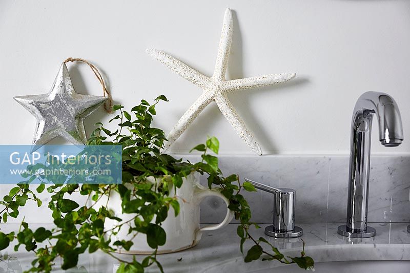 Houseplant and decorative stars on worktop next to sink 