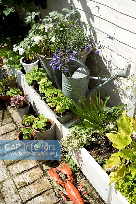 Small raised beds and potted plants 