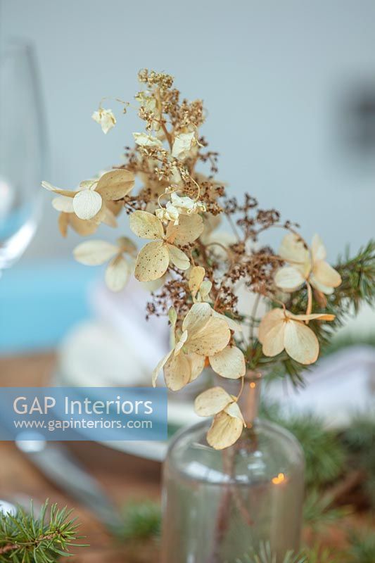Dried hydrangea flowers in vase as Christmas table decoration 