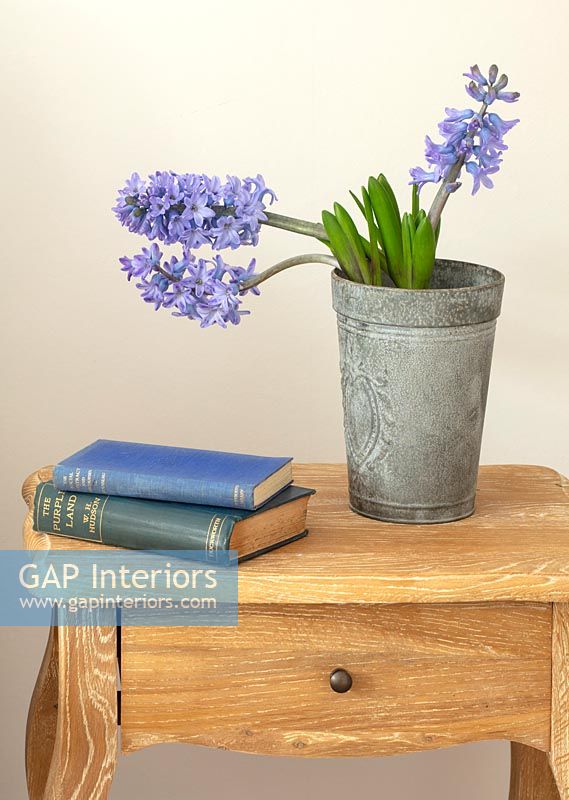 Blue hyacinths in metal pot and books on bedside table 