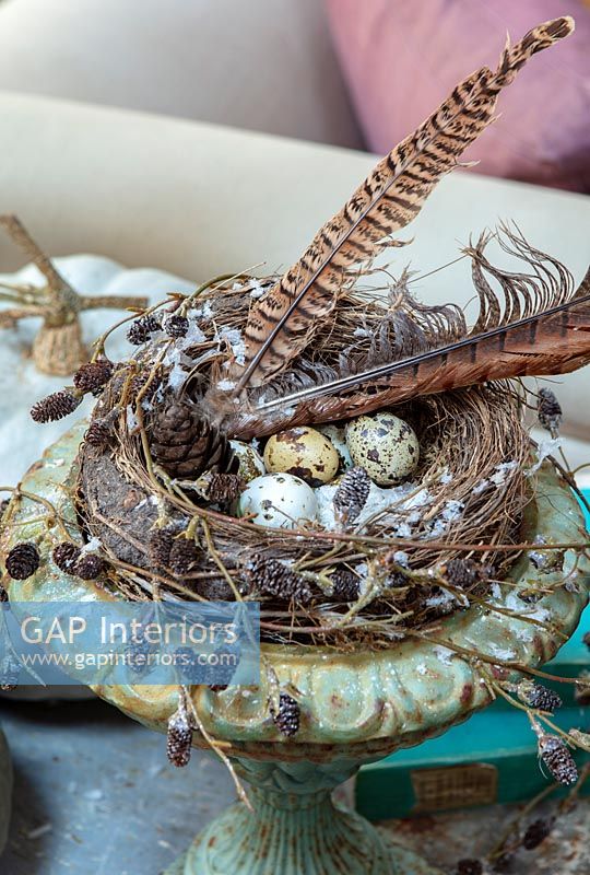 Country decorations on table - birds nest, eggs and feathers 
