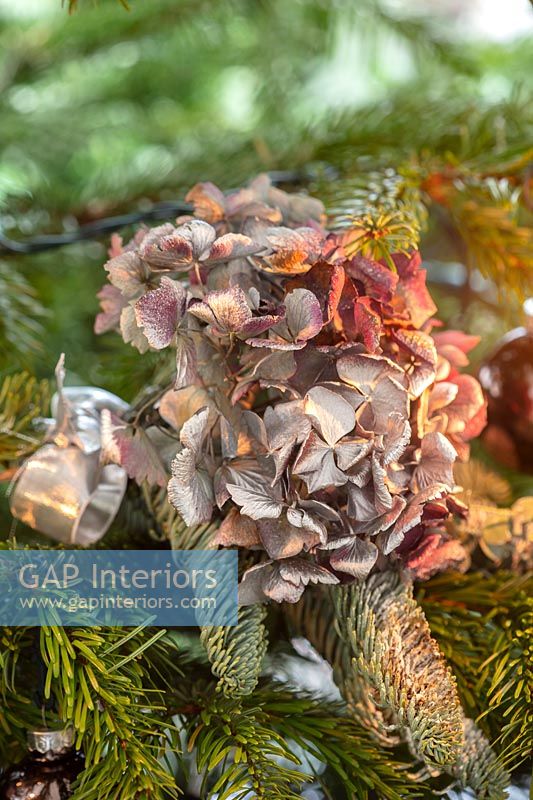 Dried Hydrangea flowers as Christmas tree decoration 