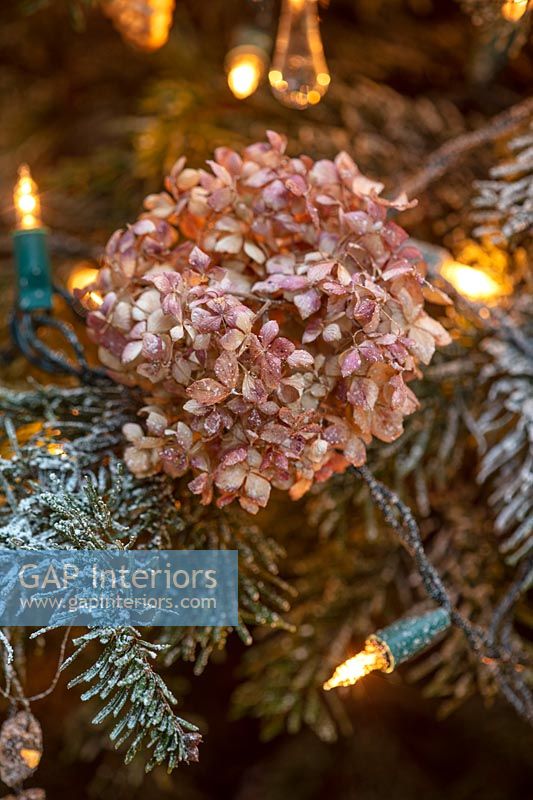Dried hydrangea flower head - Christmas tree decoration 