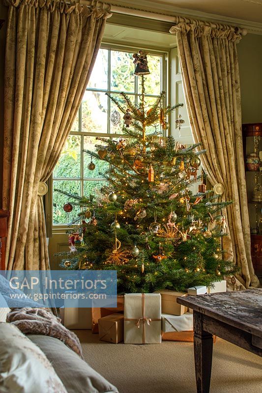 Christmas tree framed in window with gold curtains in classic living room 