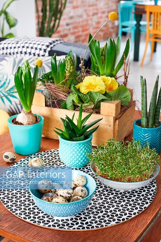 Easter decorations on modern coffee table 