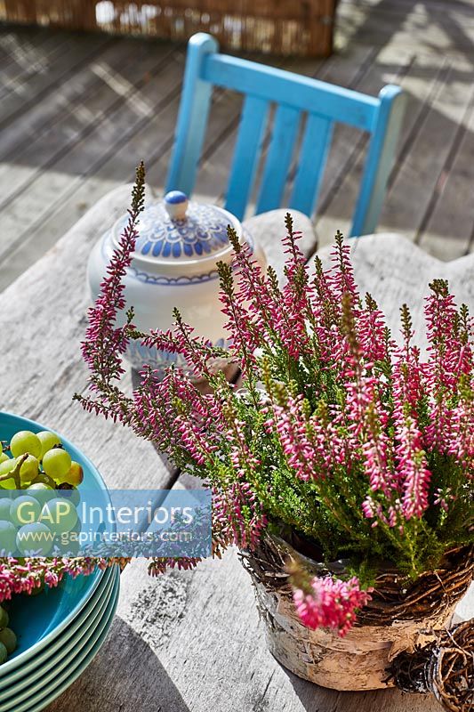 Potted heather on rustic wooden garden table - detail 