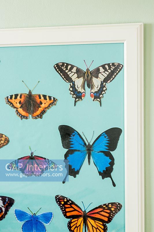 Colourful butterfly painting 