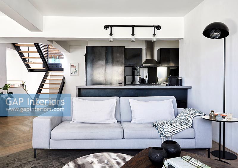 Monochrome modern living room 