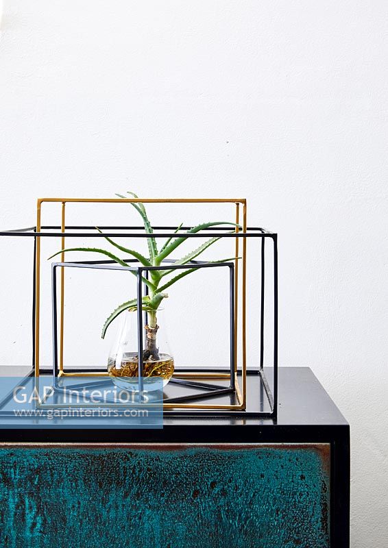 Plant in glass vase and metal frame on sideboard 