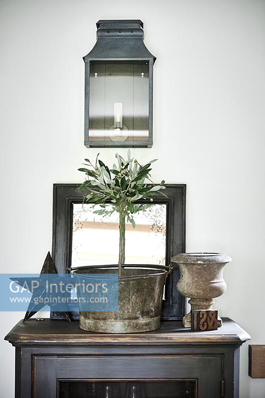 Rustic house plant on cabinet