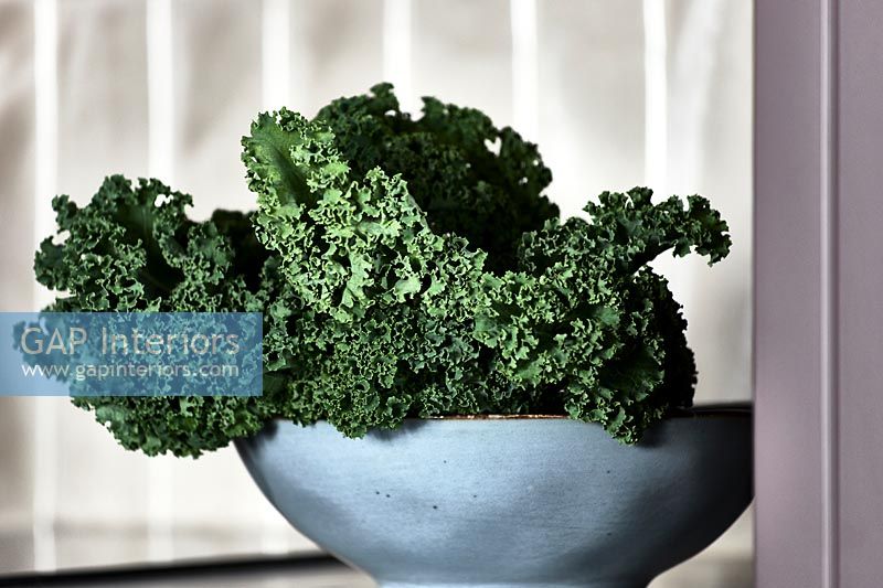 Close up kale in bowl 