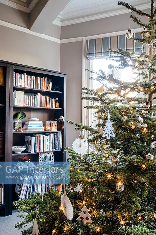 Christmas tree and bookcase