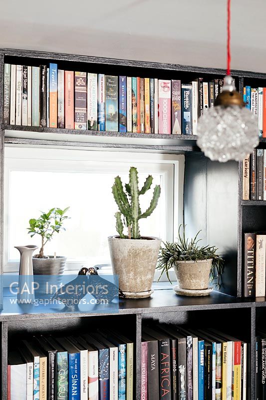 Bookcase and houseplants detail 