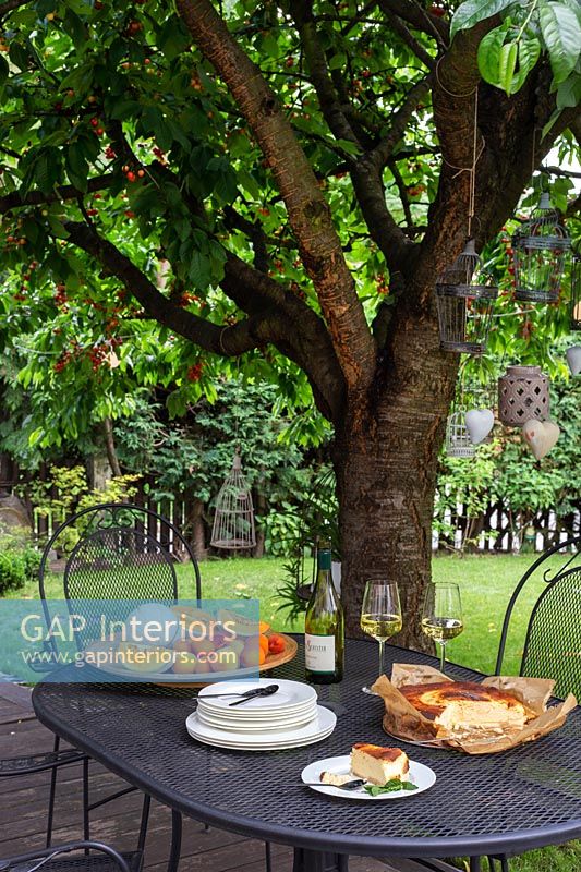Fruits and cake on garden table