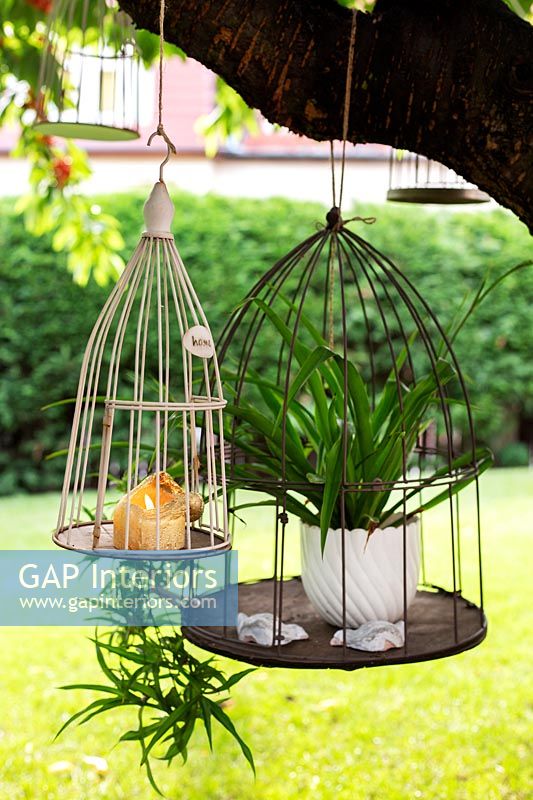 Bird cages in garden