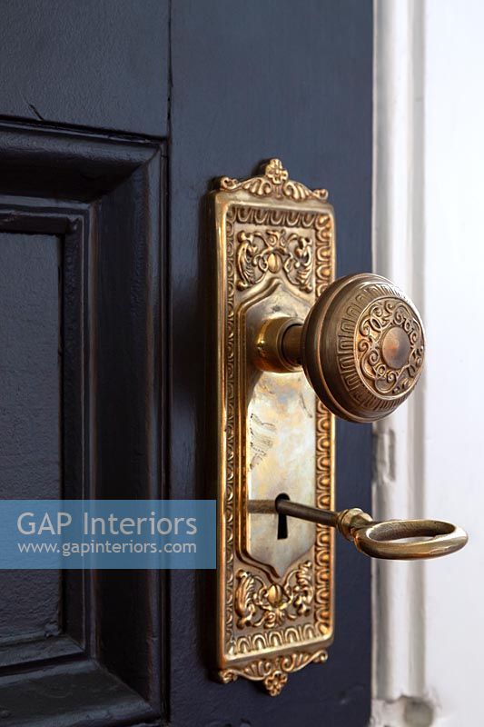 Ornate door handle 