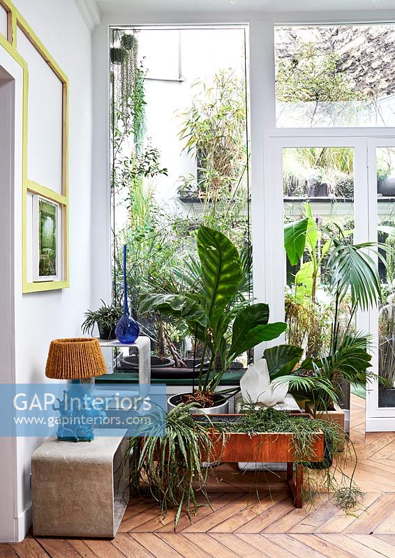 Modern living room filled with houseplants - view through windows to courtyard