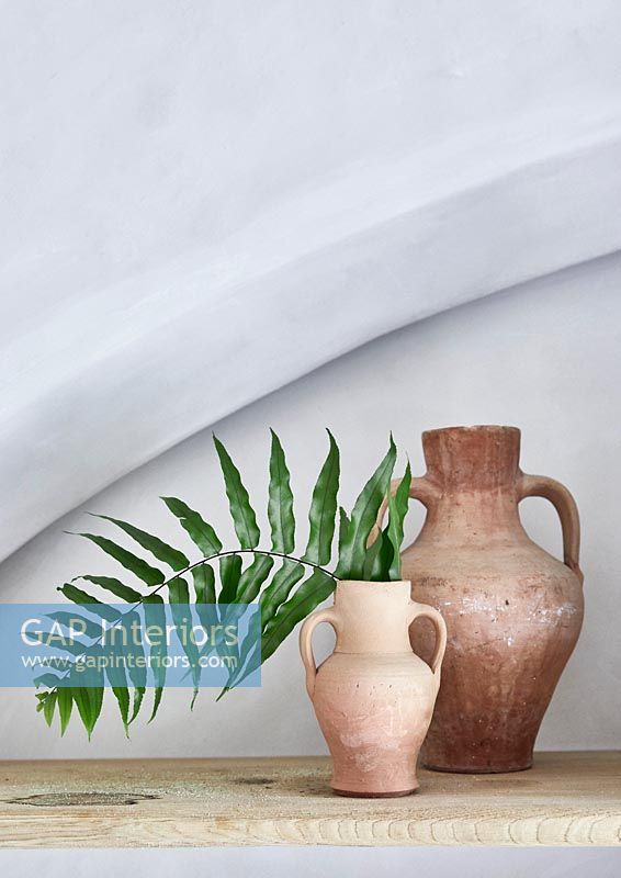 Foliage in Terracotta urn on shelf in moulded alcove 