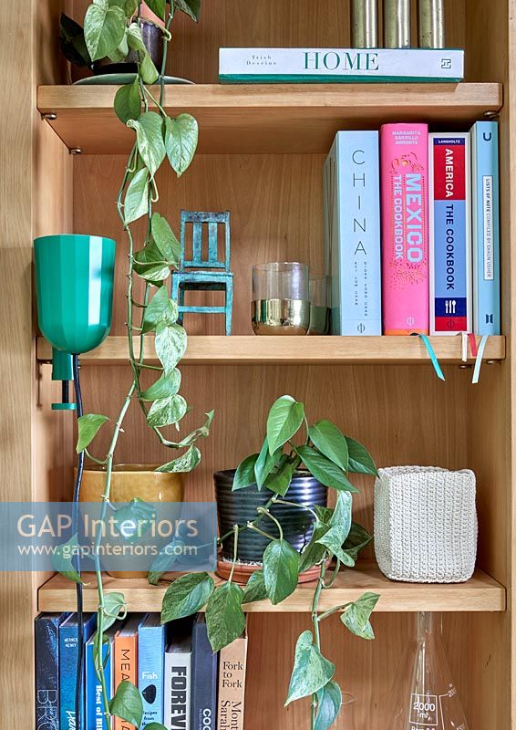 Houseplant and books on wooden shelves 