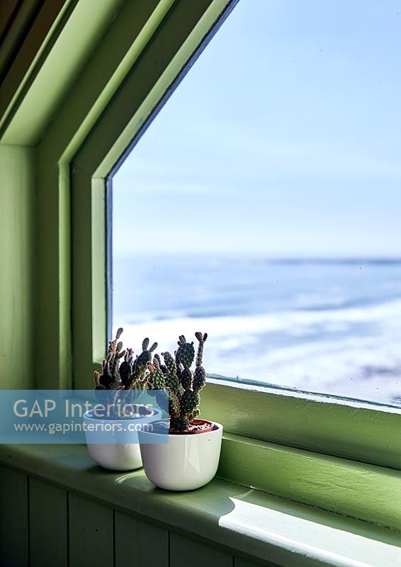 Cacti in tiny pots on windowsill with sea view 