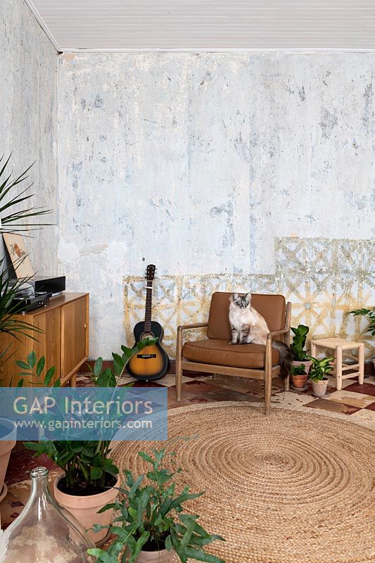 Pet cat on armchair in country living room with bare plaster walls 