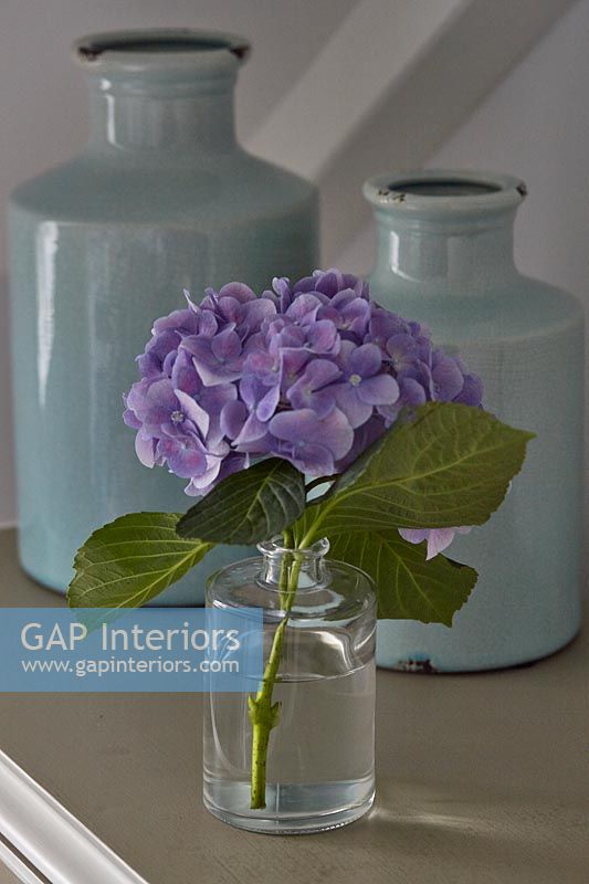 Hydrangea flower in vase next to blue ceramic bottles 