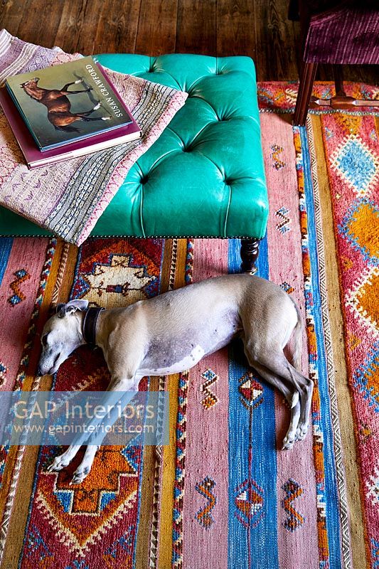 Large pet dog on rug