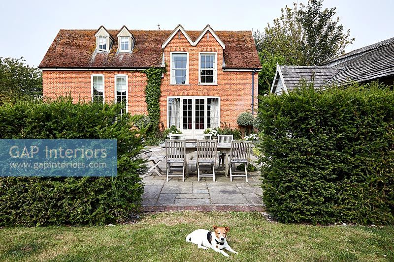 Pet dog lying in garden of country house 
