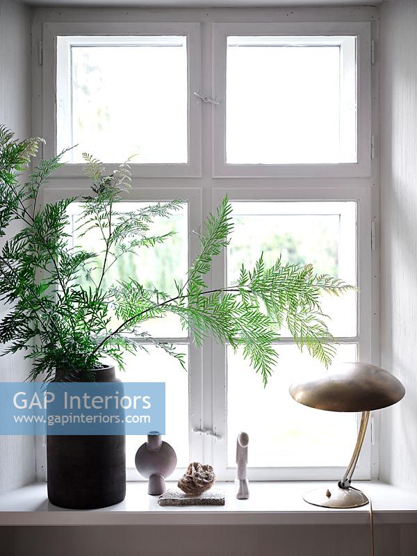 Vase with fern in window 