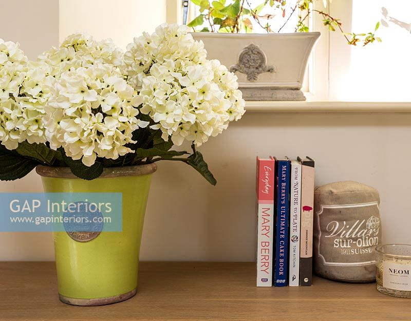 Houseplant in green pot on shelf next to books 