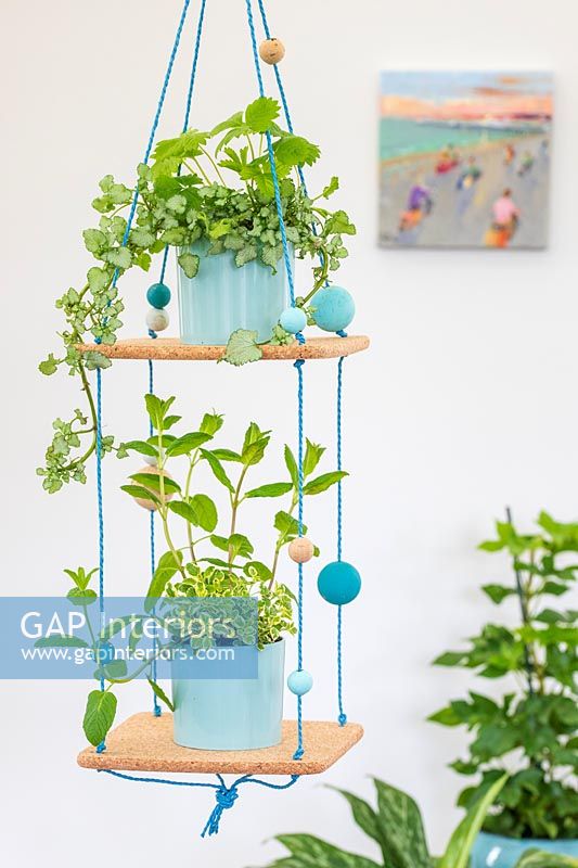 Green houseplants on tiered plant display made from cork, string and balls