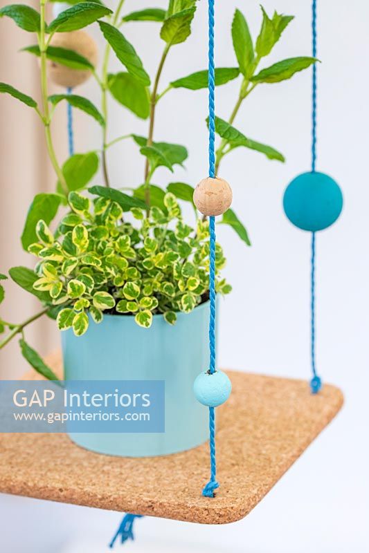 Green houseplant on hanging plant display made from cork, string and balls