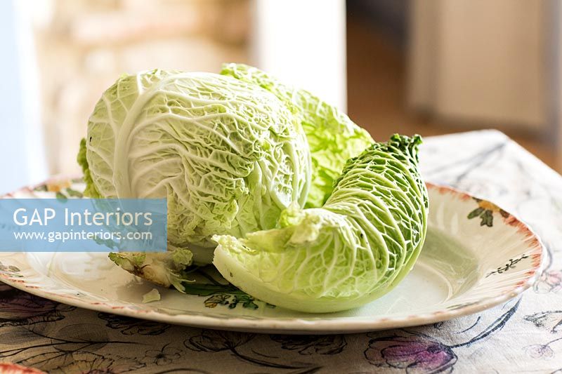 Cabbage on plate