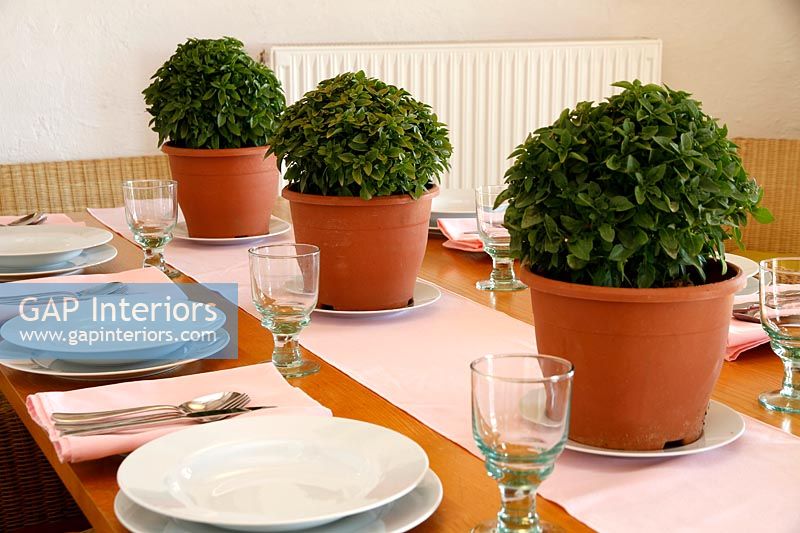 Country dining room with potted foliage plants on table runner