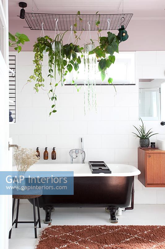 Suspended houseplants above freestanding bath in modern bathroom 