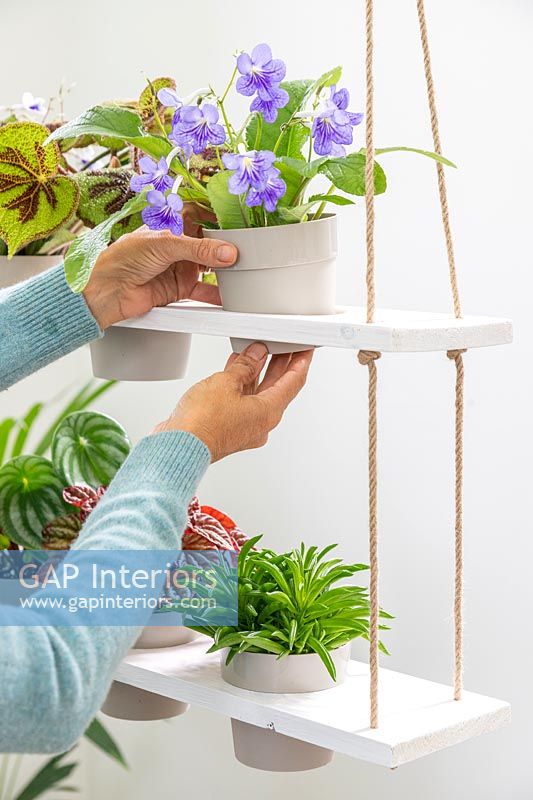 Woman adding potted houseplant to tiered shelving unit