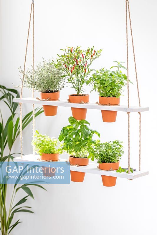 Hanging shelving unit with terracotta pots with herbs