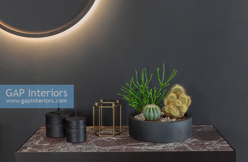 Cacti in black pot on side table next to halo light on black wall 