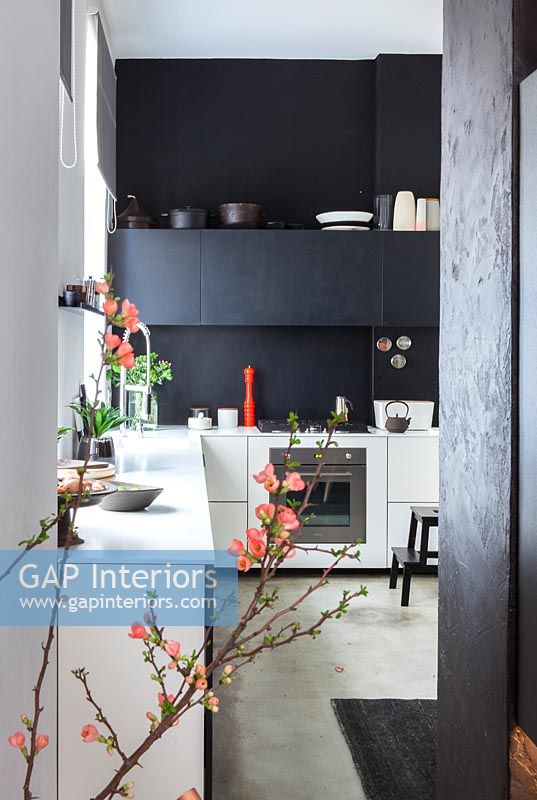 Black and white contemporary kitchen