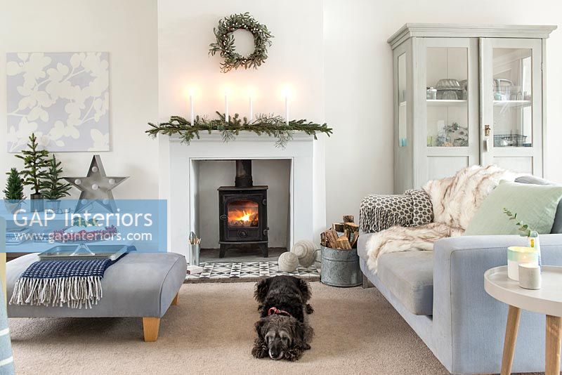 Pet dog in modern country living room at Christmas 
