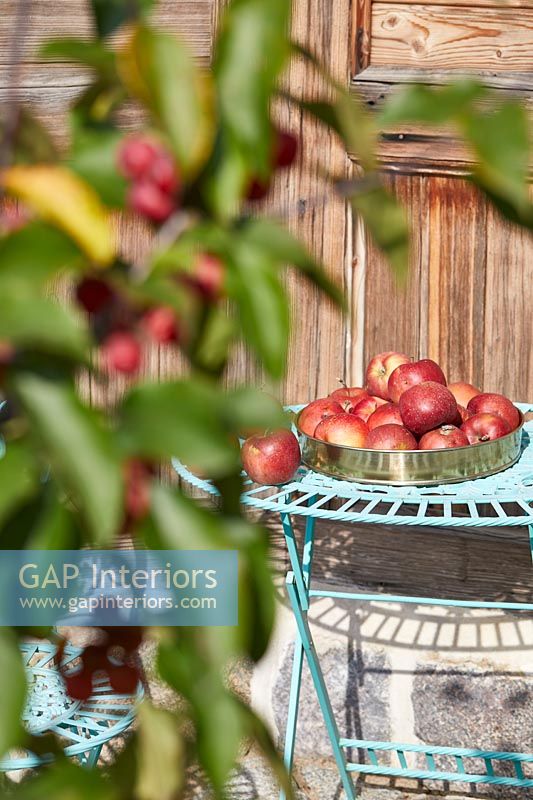 Silver bowl of harvested apples on small metal table outside 