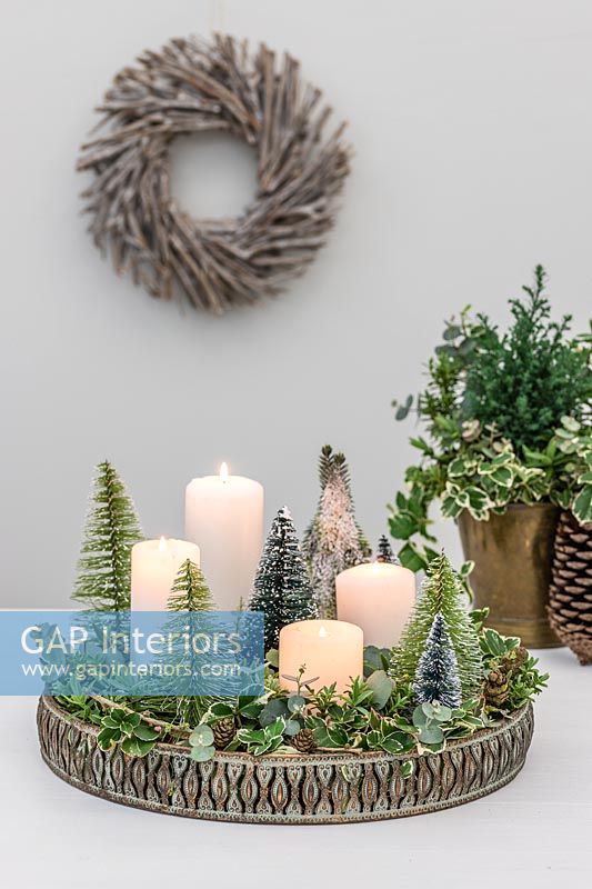 Advent arrrangement with ornate metal tray, white candles, variegated foliage of Euonymus, Eucalyptus and miniature fake christmas trees