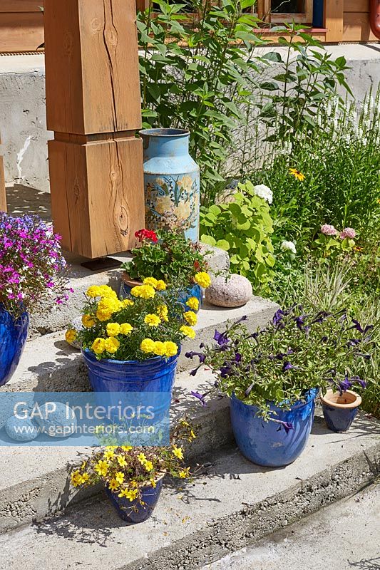 Containers of flowering plants on outdoor steps 