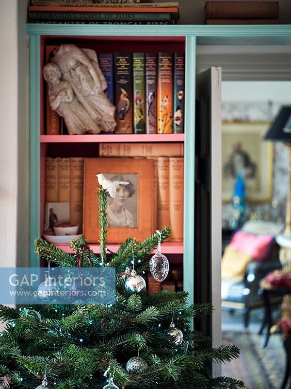 Classic bookcase with Christmas tree 