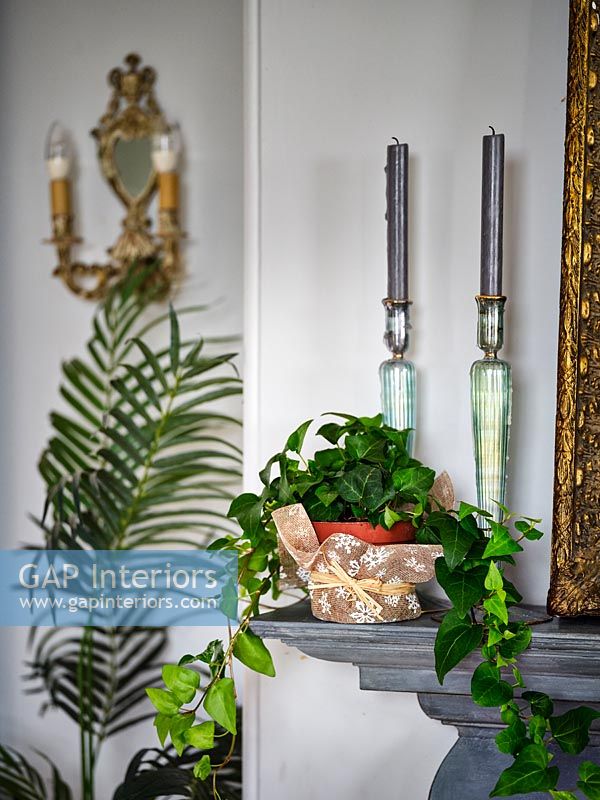 Houseplant wrapped in golden Christmas ribbon on mantelpiece 